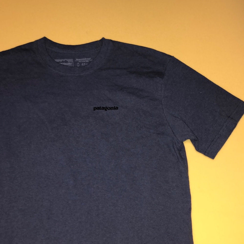 Patagonia T shirt